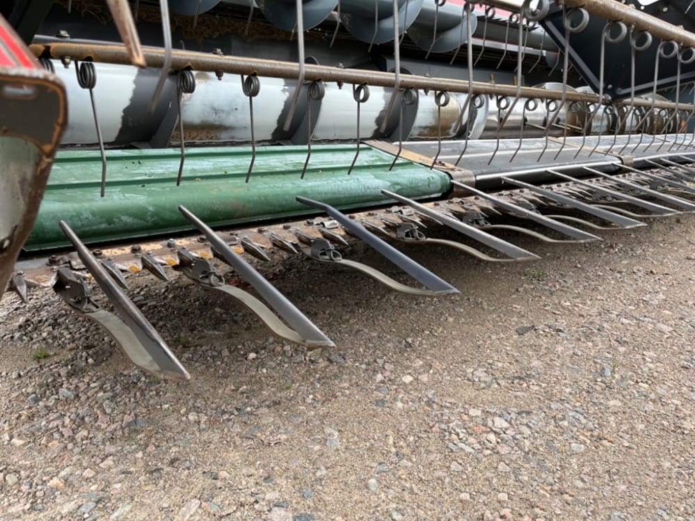 https://sdmaagri.fr/wp-content/uploads/2023/07/IMG-20220615-WA0054.jpg